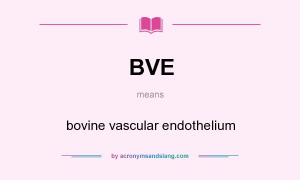 What does BVE mean? It stands for bovine vascular endothelium
