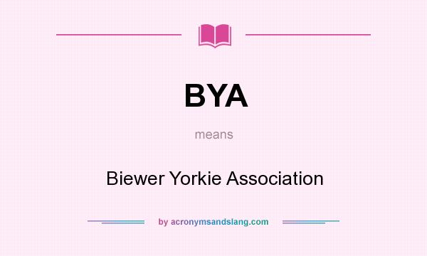 What does BYA mean? It stands for Biewer Yorkie Association