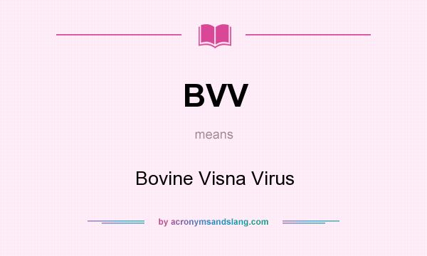 What does BVV mean? It stands for Bovine Visna Virus