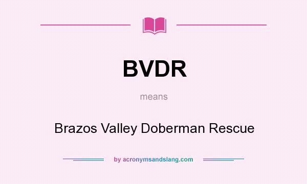 What does BVDR mean? It stands for Brazos Valley Doberman Rescue