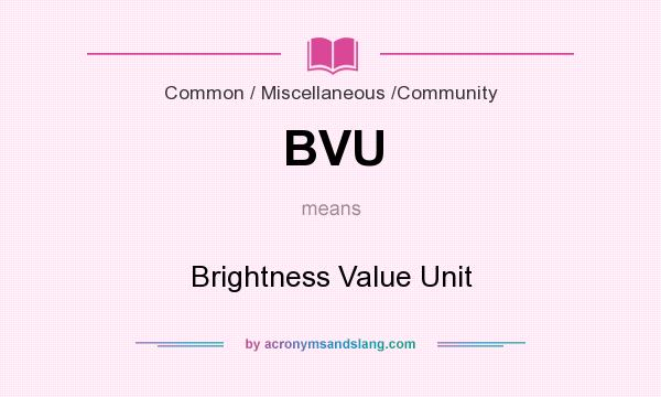 What does BVU mean? It stands for Brightness Value Unit