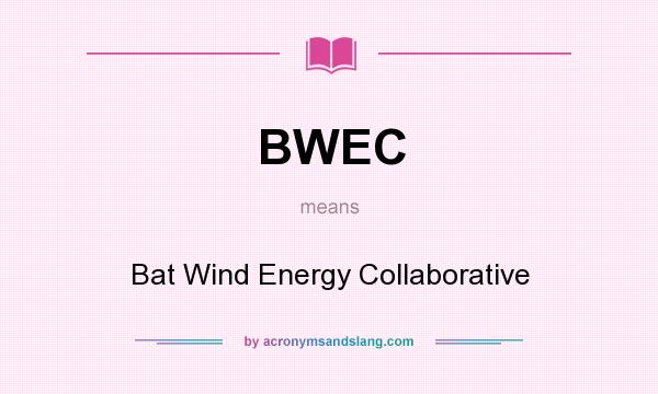 What does BWEC mean? It stands for Bat Wind Energy Collaborative