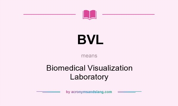 What does BVL mean? It stands for Biomedical Visualization Laboratory