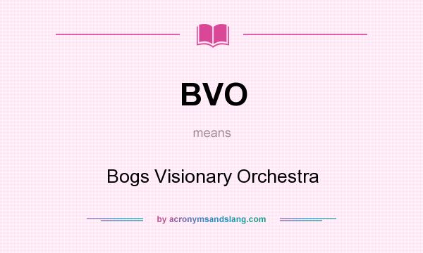 What does BVO mean? It stands for Bogs Visionary Orchestra