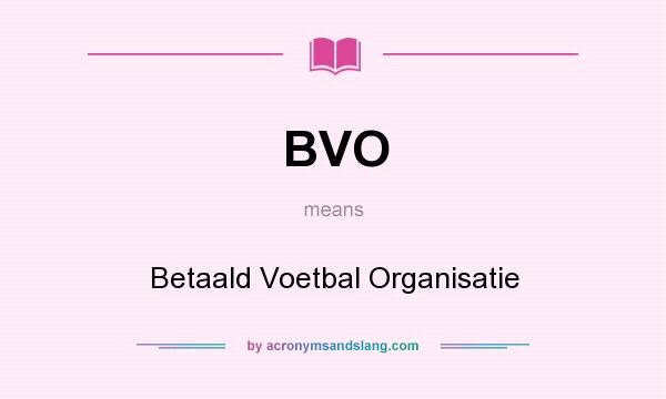 What does BVO mean? It stands for Betaald Voetbal Organisatie