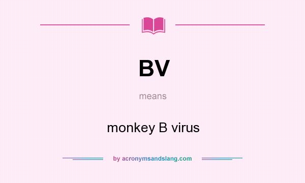 What does BV mean? It stands for monkey B virus