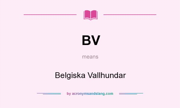 What does BV mean? It stands for Belgiska Vallhundar