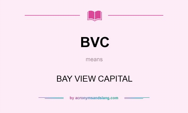 What does BVC mean? It stands for BAY VIEW CAPITAL