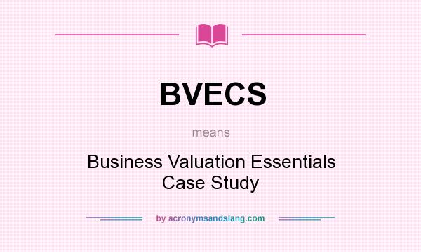 What does BVECS mean? It stands for Business Valuation Essentials Case Study
