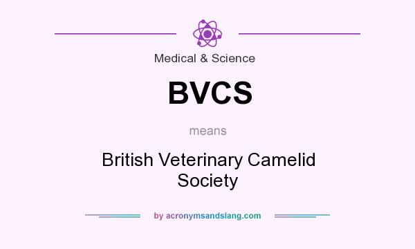 What does BVCS mean? It stands for British Veterinary Camelid Society