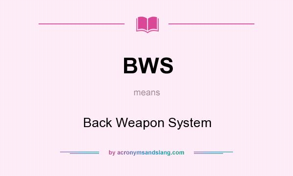 What does BWS mean? It stands for Back Weapon System
