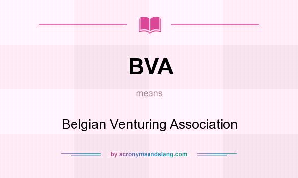 What does BVA mean? It stands for Belgian Venturing Association