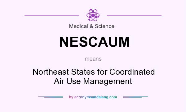 What does NESCAUM mean? It stands for Northeast States for Coordinated Air Use Management