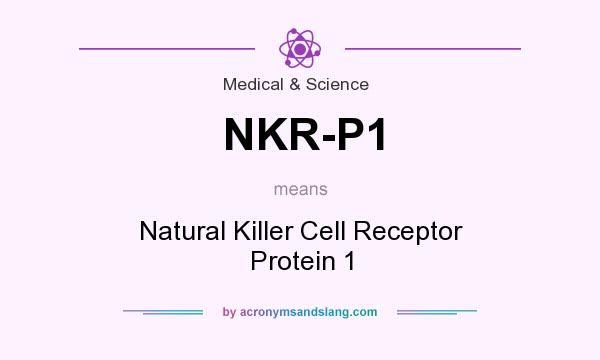 What does NKR-P1 mean? It stands for Natural Killer Cell Receptor Protein 1