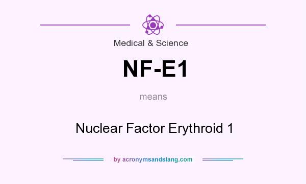 What does NF-E1 mean? It stands for Nuclear Factor Erythroid 1