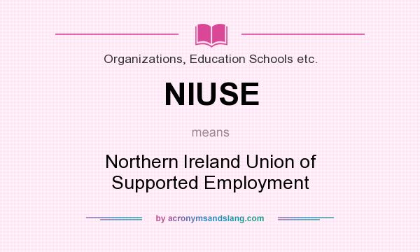 What does NIUSE mean? It stands for Northern Ireland Union of Supported Employment