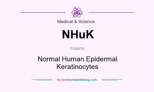 What does NHuK mean? It stands for Normal Human Epidermal Keratinocytes