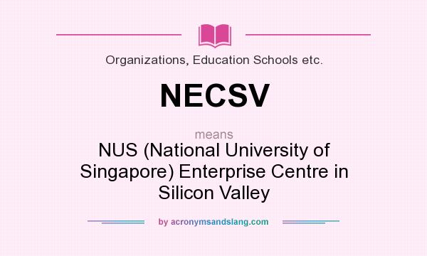 What does NECSV mean? It stands for NUS (National University of Singapore) Enterprise Centre in Silicon Valley