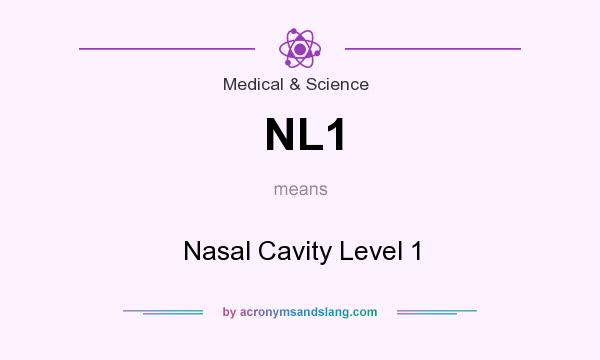 What does NL1 mean? It stands for Nasal Cavity Level 1