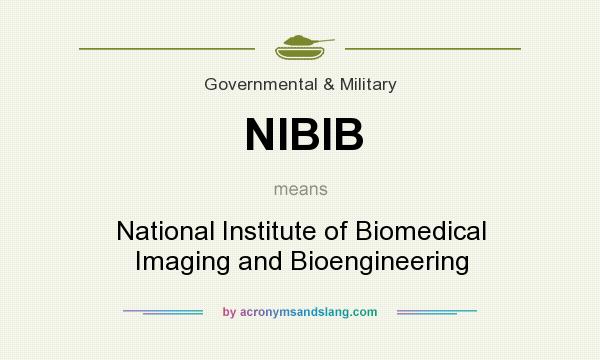 What does NIBIB mean? It stands for National Institute of Biomedical Imaging and Bioengineering