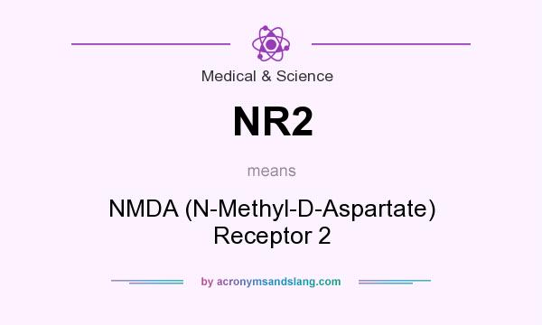 What does NR2 mean? It stands for NMDA (N-Methyl-D-Aspartate) Receptor 2