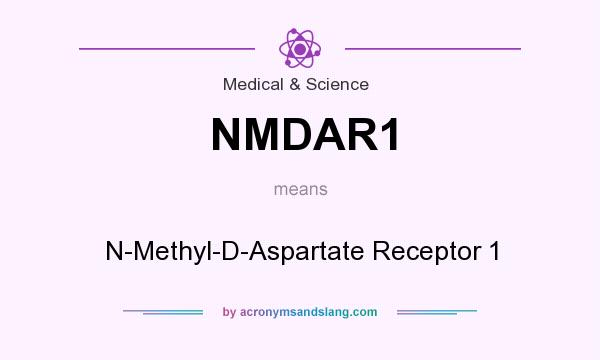 What does NMDAR1 mean? It stands for N-Methyl-D-Aspartate Receptor 1