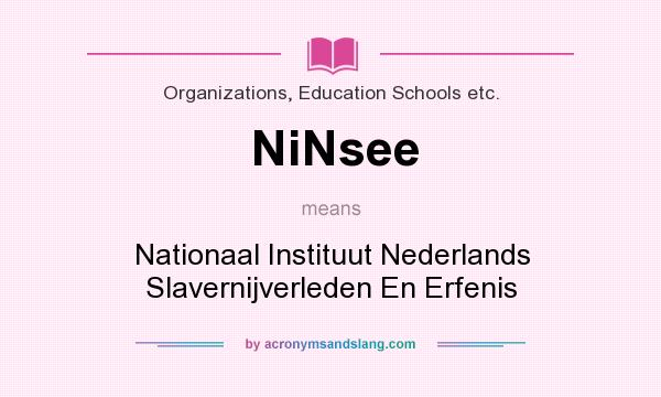 What does NiNsee mean? It stands for Nationaal Instituut Nederlands Slavernijverleden En Erfenis