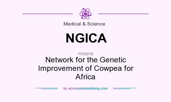 What does NGICA mean? It stands for Network for the Genetic Improvement of Cowpea for Africa