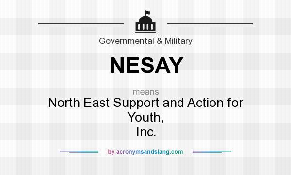 What does NESAY mean? It stands for North East Support and Action for Youth, Inc.