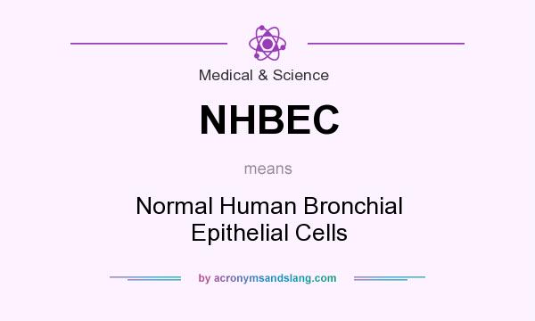 What does NHBEC mean? It stands for Normal Human Bronchial Epithelial Cells