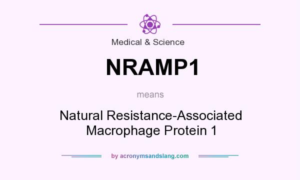What does NRAMP1 mean? It stands for Natural Resistance-Associated Macrophage Protein 1