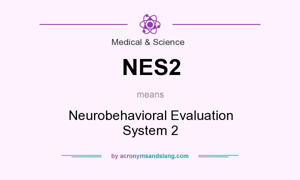 What does NES2 mean? It stands for Neurobehavioral Evaluation System 2