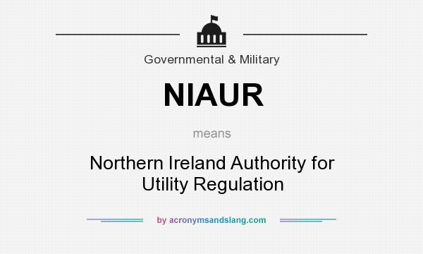 What does NIAUR mean? It stands for Northern Ireland Authority for Utility Regulation