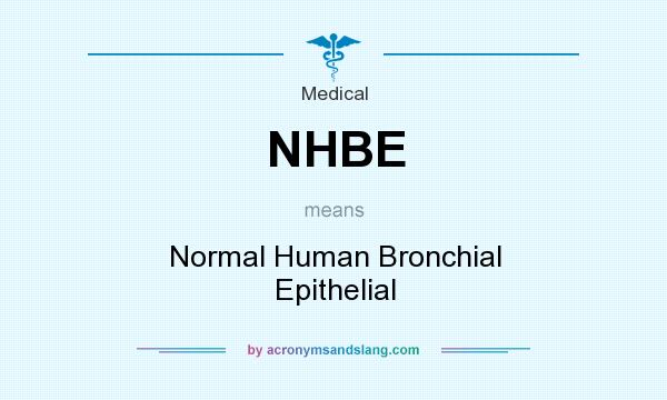 What does NHBE mean? It stands for Normal Human Bronchial Epithelial