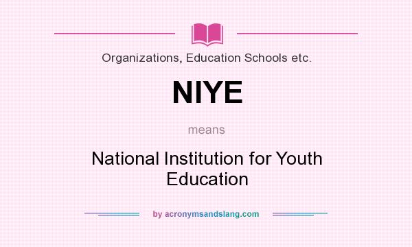 What does NIYE mean? It stands for National Institution for Youth Education