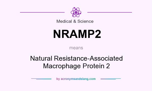 What does NRAMP2 mean? It stands for Natural Resistance-Associated Macrophage Protein 2