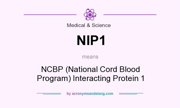 What does NIP1 mean? It stands for NCBP (National Cord Blood Program) Interacting Protein 1
