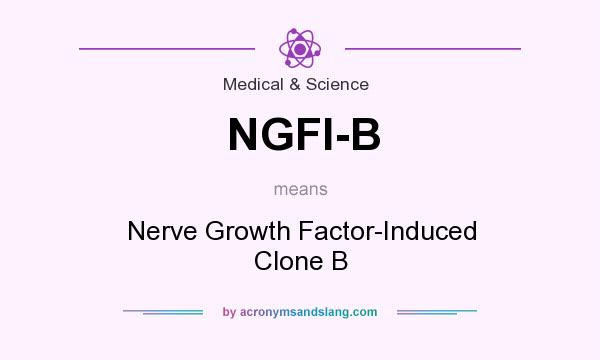 What does NGFI-B mean? It stands for Nerve Growth Factor-Induced Clone B