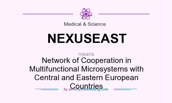 What does NEXUSEAST mean? It stands for Network of Cooperation in Multifunctional Microsystems with Central and Eastern European Countries
