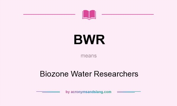 What does BWR mean? It stands for Biozone Water Researchers