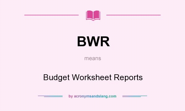 What does BWR mean? It stands for Budget Worksheet Reports