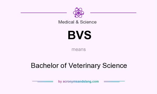 What does BVS mean? It stands for Bachelor of Veterinary Science