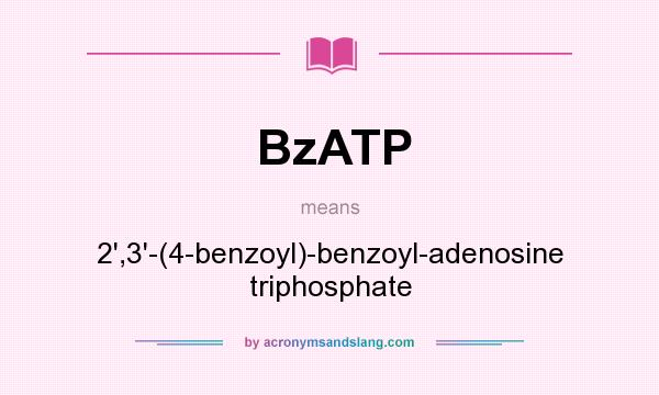 What does BzATP mean? It stands for 2`,3`-(4-benzoyl)-benzoyl-adenosine triphosphate