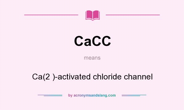 What does CaCC mean? It stands for Ca(2 )-activated chloride channel