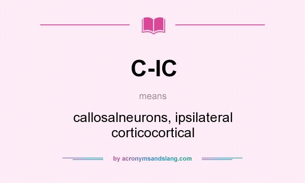 What does C-IC mean? It stands for callosalneurons, ipsilateral corticocortical