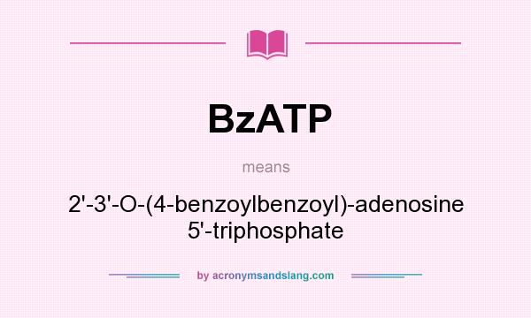 What does BzATP mean? It stands for 2`-3`-O-(4-benzoylbenzoyl)-adenosine 5`-triphosphate