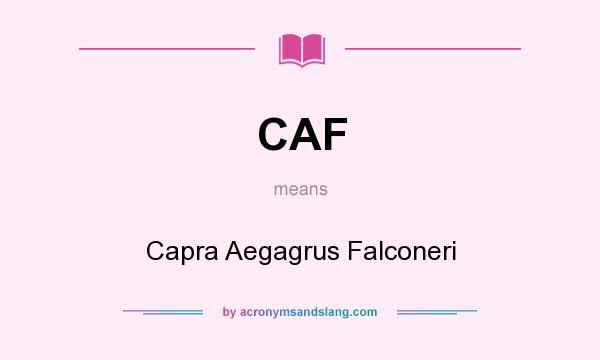 What does CAF mean? It stands for Capra Aegagrus Falconeri