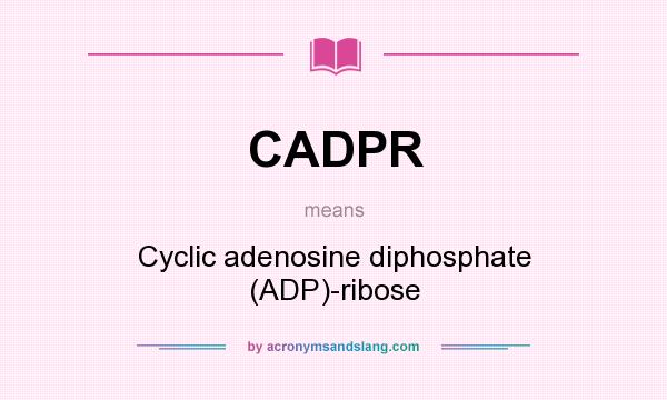 What does CADPR mean? It stands for Cyclic adenosine diphosphate (ADP)-ribose
