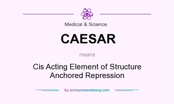 What does CAESAR mean? It stands for Cis Acting Element of Structure Anchored Repression