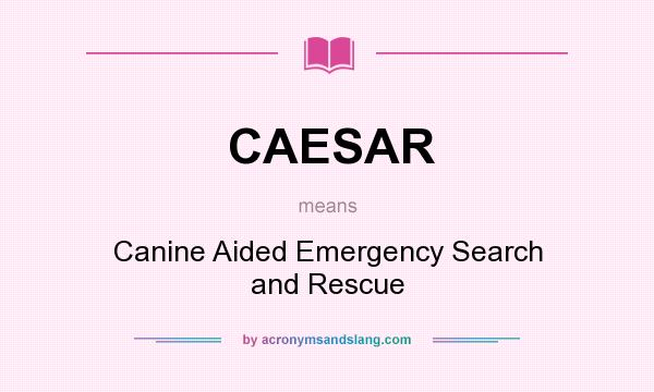 What does CAESAR mean? It stands for Canine Aided Emergency Search and Rescue